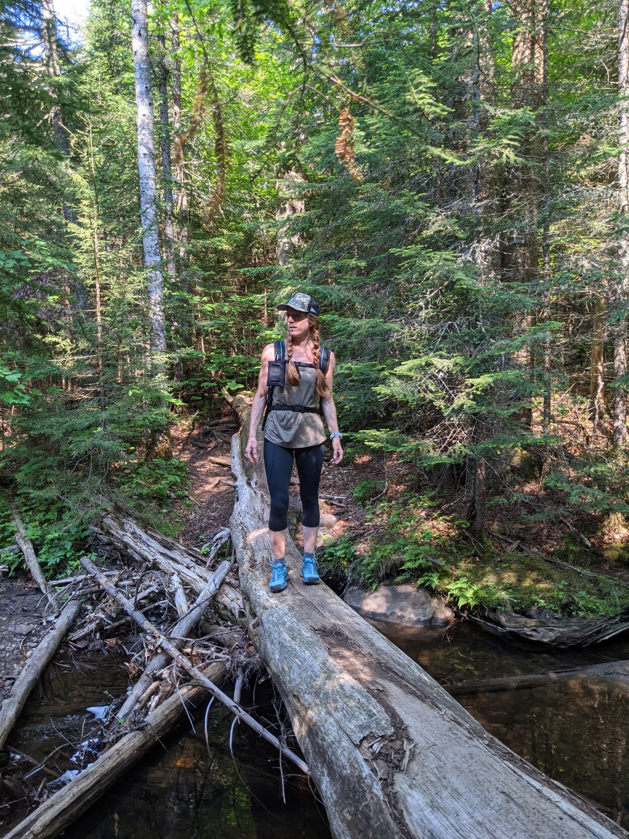 On a log.jpg